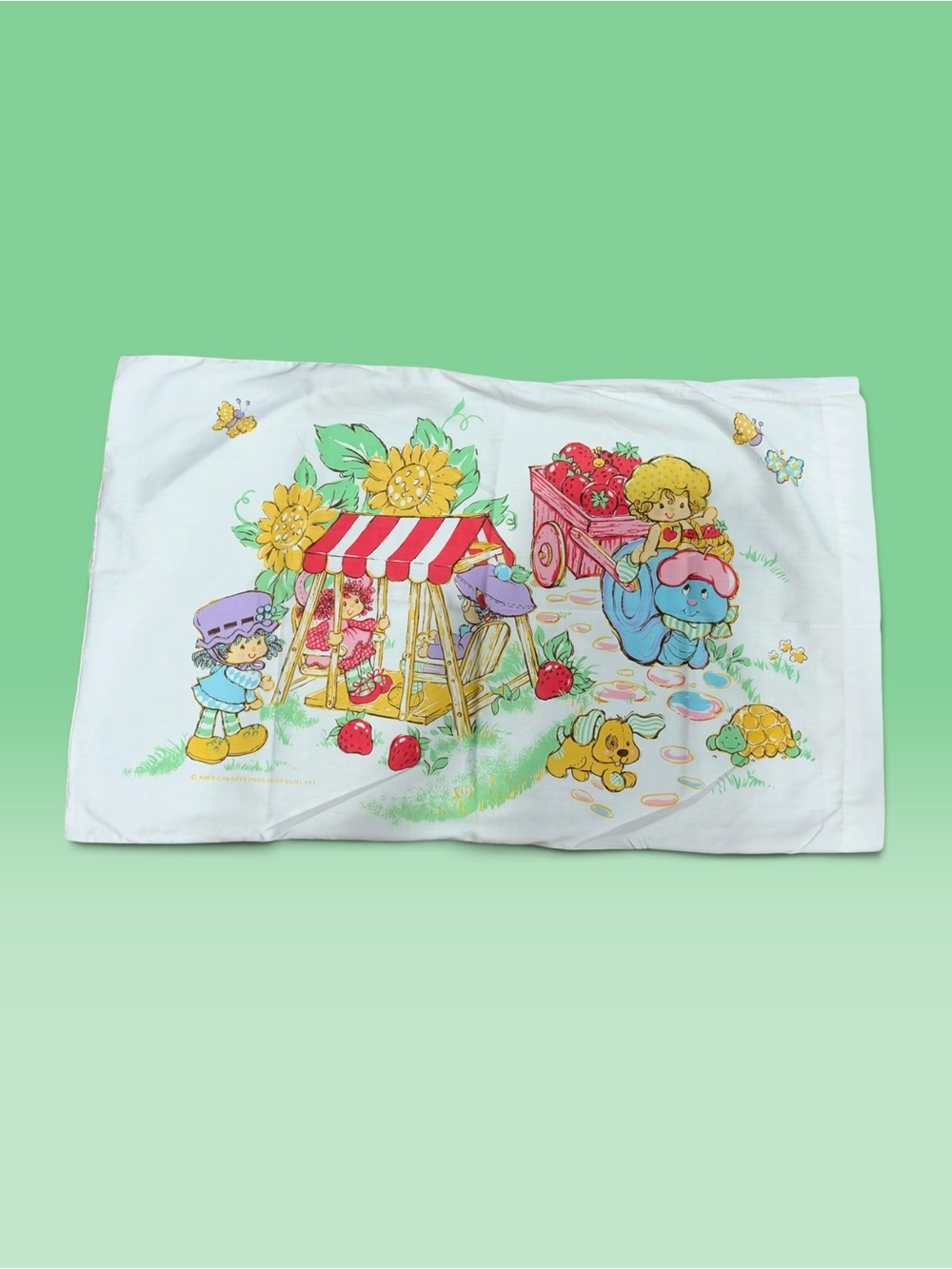 1980s Strawberry Shortcake Pillow Case
